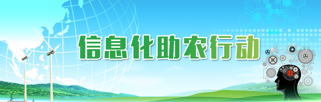 信息化助農(nóng)行動(dòng)